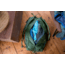 Exped Radical 30 Backpack, Forest, 30 Liter, 7640445453622