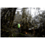 Exped RainCover, Lime, Medium, 7640147762503