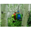 Exped Summit Lite 25, Deep Sea Blue, 7640147768956