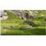 Exped Waterbloc Pro -5C / +20F Sleeping Bags, Long, 7640171998923