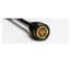 Favorite Fishing Jack Hammer JVD Spinning Rod, 6ft 10in, Medium, Black/Gold, JHM-JVD-6101M