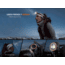Fenix Lighting HM23 V2.0 300 Lumens Luminus SST20 LED Headlamp, Black, HM23V2BK