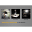 Fenix CL25R LED 350 Lumen Rechargeable Lantern, Black CL25RBK