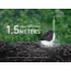 Fenix Lighting CL20R V2.0 Lithium Ion 300 Lumens Lanterns