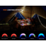 Fenix Lighting CL20R V2.0 Lithium Ion 300 Lumens Lanterns