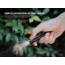 Fenix Lighting E05R Lithium Ion 400 Lumens Luminus SST20 LED Flashlight, Black, E05RG2BK