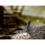 Fenix Lighting E05R Lithium Ion 400 Lumens Luminus SST20 LED Flashlight, Black, E05RG2BK