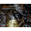 Fenix Lighting HM53R Lithium Ion 1200 Lumens LED Headlamp
