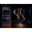 Fenix Lighting HM61R V2.0 Lithium Ion 1600 Lumens Headlamp