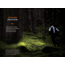 Fenix Lighting HM62-T Lithium Ion 1200 Lumens Headlamp, Black, HM62TSBK