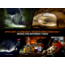 Fenix Lighting HP35R SAR Lithium Ion 4000 Lumens XHP70 LED, Luminus SST20 LED Headlamp, Black, HP35RXSR