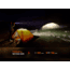 Fenix Lighting LD12R Lithium Ion 600 Lumens Luminus SST20 LED, SC1818C LED Flashlight, Black, LD12RLXBK