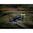 Fenix Lighting LD22 V2.0 800 Lumens Luminus SST20 WXS LED Flashlight, Black, LD22V2BK
