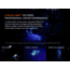 Fenix Lighting LR35R PRO Lithium Ion 10000 Lumens Flashlight