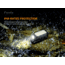 Fenix Lighting MINI-LITE 150 Lumens CA18 LED, Everlight 2835 LED Flashlight, Black, ELTBK