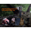 Fenix Lighting PD25R 800 Lumens Luminus SST20 LED Flashlight, Black, PD25RSTBK