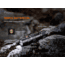 Fenix Lighting PD25R 800 Lumens Luminus SST20 LED Flashlight, Black, PD25RSTBK
