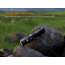 Fenix Lighting PD26R ACE Lithium Ion 1300 Lumens Luminus SFT25R LED Flashlight, Black, PD26RACBK