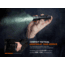 Fenix Lighting PD32R Lithium Ion 1400 Lumens Luminus SFT40 LED Flashlight, Black, PD32RSTBK