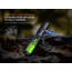 Fenix Lighting PD36R V2.0 Lithium Ion 1700 Lumens Flashlight