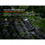 Fenix Lighting SW05R-RED Lithium Ion 150 Lumens Flashlight