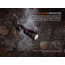 Fenix Lighting TK05R Lithium Ion 1000 Lumens Osram CSLPM1.TG LED Flashlight, Black, TK05ROBK