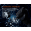 Fenix Lighting TK21R Lithium Ion 3600 Lumens Luminus SFT90 Flashlight, Black, TK21RSFBK