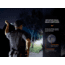 Fenix Lighting PD36R PRO Lithium Ion 2800 Lumens Luminus SFT70 LED Flashlight, Black, PD36PROBK