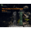 Fenix Lighting TK16 V2.0 Lithium Ion 3100 Lumens Luminus SST70 LED Flashlight, Black, TK16V2BK