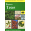 Field Guide To Eastern Trees, Peterson Field Guide, Publisher - Houghton Mifflin
