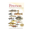 Field Guide To Freshwater Fish, Peterson Field Guide, Publisher - Houghton Mifflin