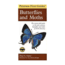 First Guide To Butterflies, Opler &amp; Peterson, Publisher - Houghton Mifflin