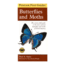 First Guide To Butterflies, Opler &amp; Peterson, Publisher - Houghton Mifflin