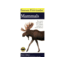 First Guide To Mammals Of N.a., Alden &amp; Peterson, Publisher - Houghton Mifflin