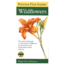 First Guide Wildflowers, Peterson Field Guides, Publisher - Houghton Mifflin