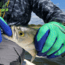 Fish Monkey Gripper Glove, Neon Green Royal, L/XL, FM12-NGRROY-L/XL