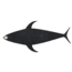 Fish Razr FlapZ
