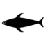 Fish Razr FlapZ