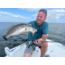 Fitzgerald Fishing Matrix Shad Series Rods, Medium Spinning, Aqua, 7ft0in, MS70MS
