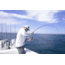 Fitzgerald Fishing Stunner HD Saltwater Series Spinning, XX Heavy Conventional, Black, 5ft8in, ST58XXH