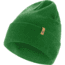 Fjallraven Classic Knit Hat, Palm Green, One Size, F77368-678-OneSize