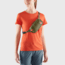 Fjallraven High Coast Hip Pack, Mountain Green, One Size, F23223-623FR-One Size