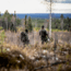 Fjallraven Lappland Hybrid Trousers - Mens, Green Camo-Laurel Green, 58, F90647-626-625-58