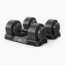 Flybird Fitness FLYBIRD 55Lbs Adjustable Dumbbell Pair 2B983C8E, 55LBS - Set of 2, NSKFBDB55LB*2