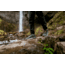 Forsake Cascade Hiking Boots - Mens, Forest, 7 US, MSS20C2070
