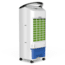 Frigidaire 2-in-1 Evaporative Air Cooler and Fan, Cools 250 sq ft, White, White, EC200WF