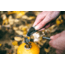 Full Windsor The Muncher Titanium Multi Utensil, MUN-TI