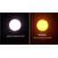 Galileo Telescope 800mm x 72mm + Smart Phone Adapter + Solar Filter Caps, Black, NSN N, SS-872SF
