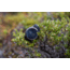 Garmin Enduro 2 Watch, 010-02754-00