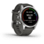 Garmin Fenix 7S Pro Solar Edition Silver with Graphite Band Watch, 010-02776-00